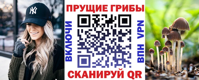 это наркотические препараты  купить  сайты  Моздок  Галлюциногенные грибы GOLDEN TEACHER  blacksprut ССЫЛКА 