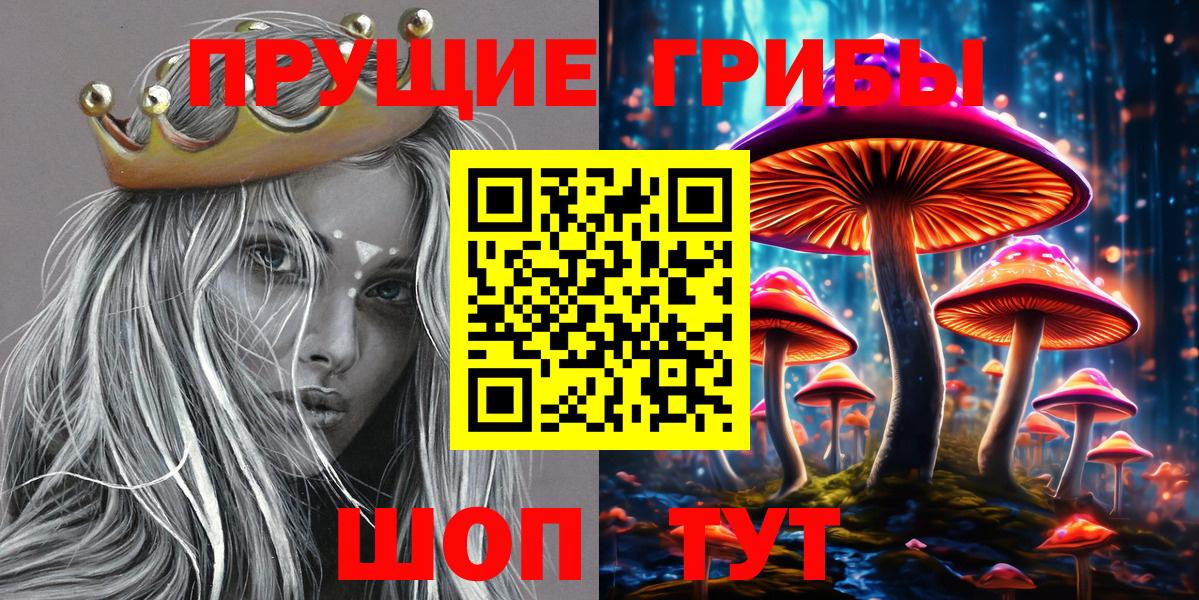 Псилоцибиновые грибы прущие грибы Моздок